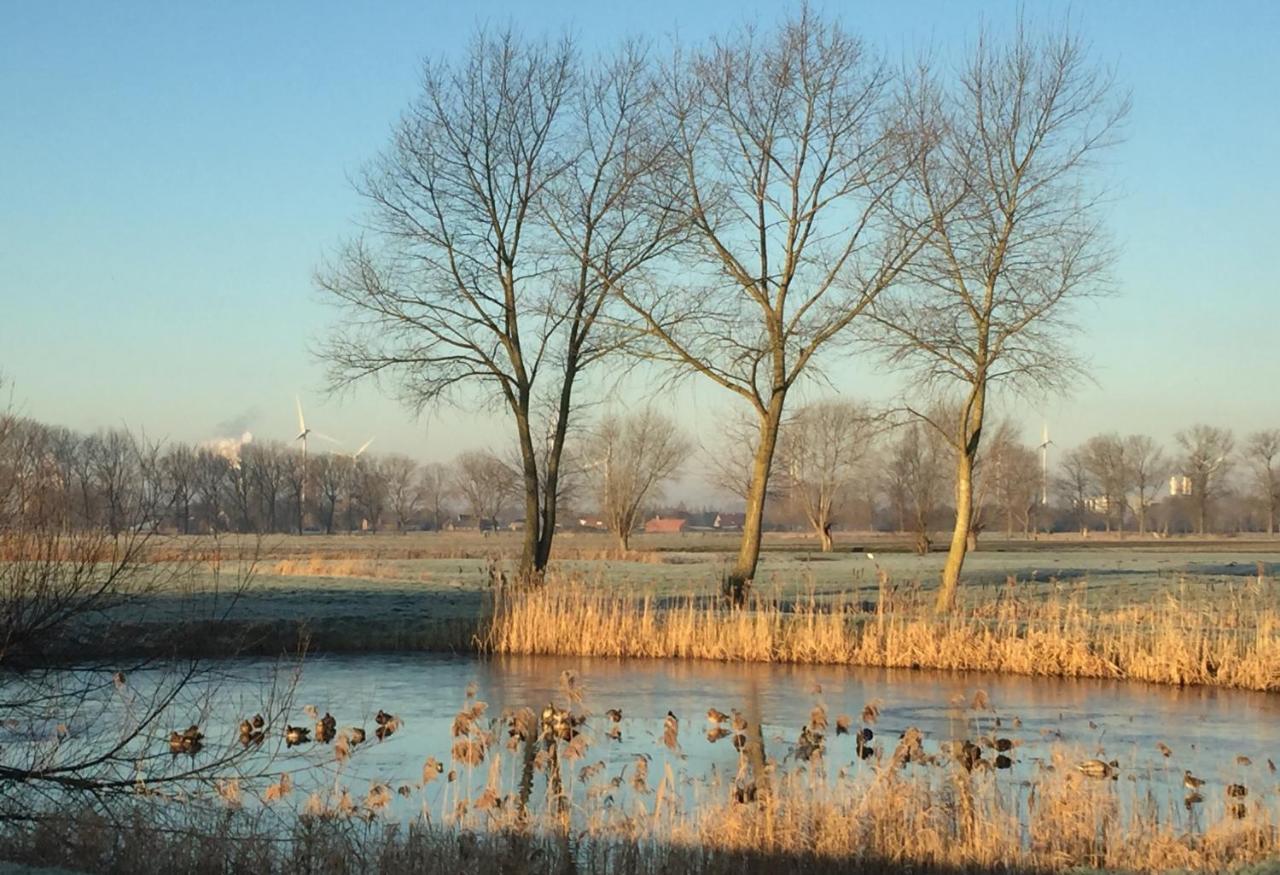 Logies De Meerkoet Bruges Exterior foto