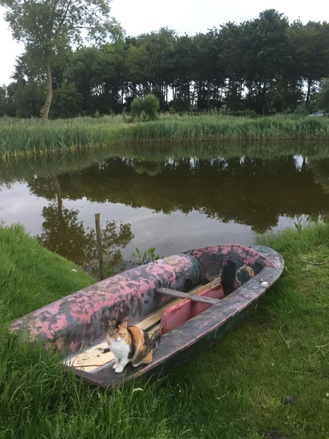 Logies De Meerkoet Bruges Exterior foto