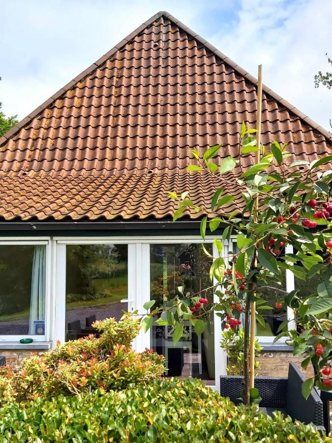 Logies De Meerkoet Bruges Exterior foto
